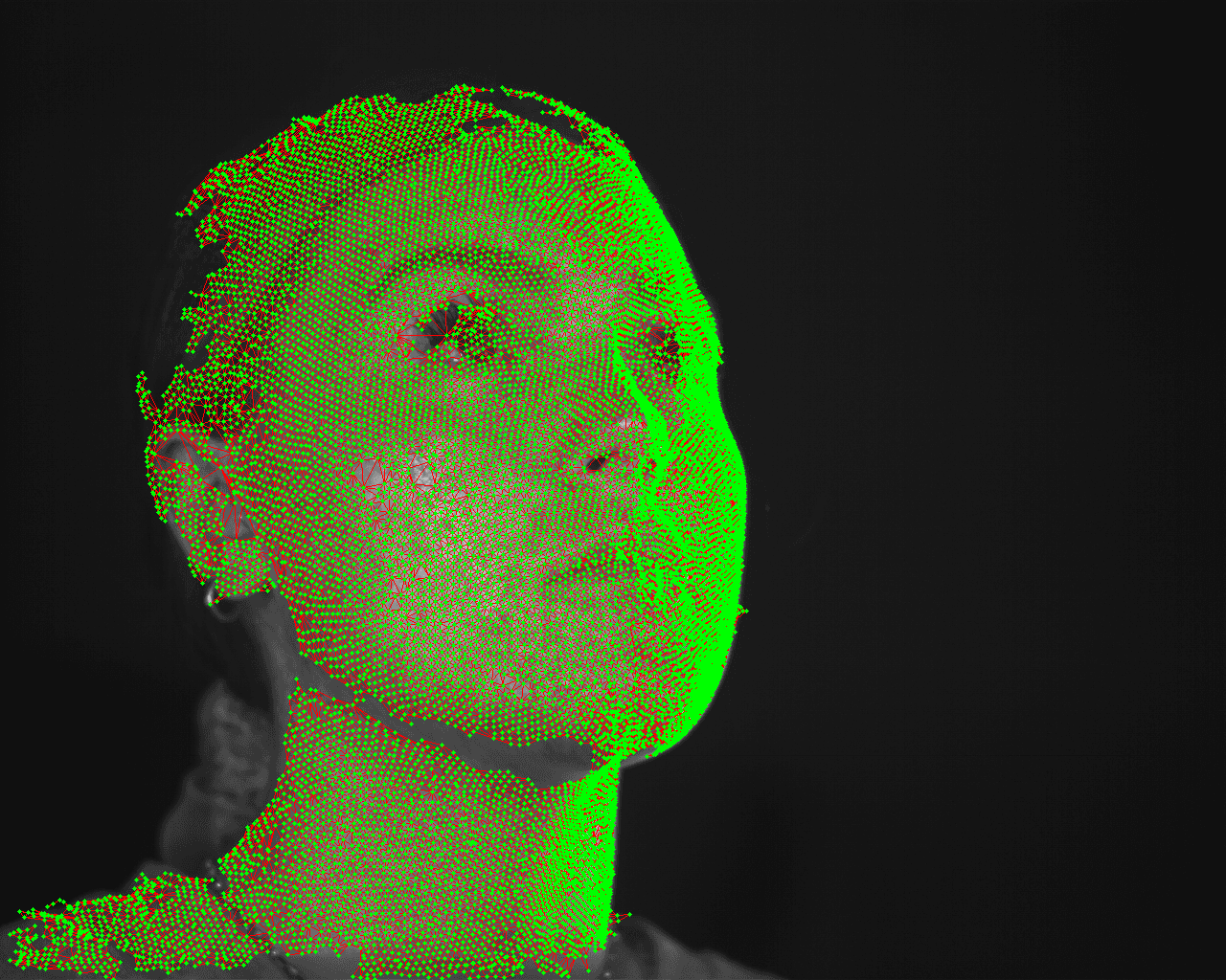 Mesh projected back onto facial capture to check quality of reconstruction. 2