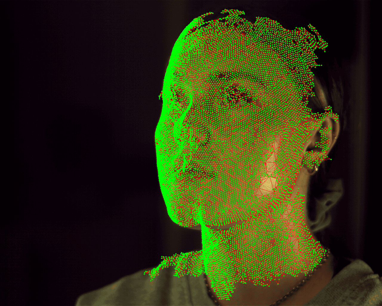 Mesh projected back onto facial capture to check quality of reconstruction. 1